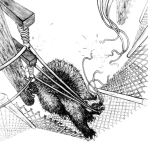 Artwork --- Wolverine Leads the Pack in Anti-Capitalist Sabotage (Animal Liberation and Animal Emancipation Directory | Description : This image came from http://www.RadicalGraphics.or... | Tags : Wolverine, Mammal, Creature, Animal, Fence, Chainl...) ::: By Radical Graphics (About: All material posted here originally appeared at ht... | Ideals: Anarchy, Animal Liberation, Anti-America, Anti-Bio...)