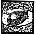 Artwork --- Lonely Turtle Adrift in a Lake of Ripples (Animals and Creatures Directory | Description : This image came from http://www.RadicalGraphics.or... | Tags : Turtle, Lily, Lily Pad, Tortoise, Pond, Ripple, La...) ::: By Radical Graphics (About: All material posted here originally appeared at ht... | Ideals: Anarchy, Animal Liberation, Anti-America, Anti-Bio...)