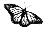 Artwork --- The Harmonious Symmetry of the Agile Butterfly (Animals and Creatures Directory | Description : This image came from http://www.RadicalGraphics.or... | Tags : Butterfly, Insect, Flying, Wing, Flight, Antennae,...) ::: By Radical Graphics (About: All material posted here originally appeared at ht... | Ideals: Anarchy, Animal Liberation, Anti-America, Anti-Bio...)