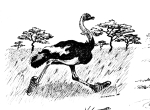 Artwork --- Ostrich Galloping Through the Fields of Africa (Animals and Creatures Directory | Description : This image came from http://www.RadicalGraphics.or... | Tags : Ostrich, Bird, Run, Trees, Grassland, Shoes, Sneak...) ::: By Radical Graphics (About: All material posted here originally appeared at ht... | Ideals: Anarchy, Animal Liberation, Anti-America, Anti-Bio...)