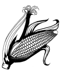 Artwork --- Corn, that Wondrous Sustainer of Human Life Throughout the Ages (Food and Hunger Directory | Description : This image came from http://www.RadicalGraphics.or... | Tags : Corn, Corn On The Cob, Raw, Raw Food, Food.) ::: By Radical Graphics (About: All material posted here originally appeared at ht... | Ideals: Anarchy, Animal Liberation, Anti-America, Anti-Bio...)
