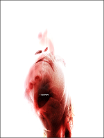 Added Artwork