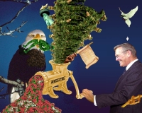 Added Artwork