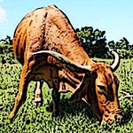 Animal Rights, Vegetarian, and Vegan Organization Links