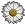 DAISY Version Icon