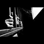 Death Penalty, and Capital Punishment Organization Links