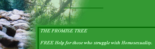 Image from the Promise Tree Homepage
