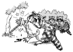 Artwork --- Animal Traps are Torturous Suffering to the Creatures of the Planet (Animal Rights and Animal Equality Directory | Description : This image came from http://www.RadicalGraphics.or... | Tags : Traps, Trapping, Anti-Trap, Anti-Trapping, Raccoon...) ::: By Radical Graphics (About: All material posted here originally appeared at ht... | Ideals: Anarchy, Animal Liberation, Anti-America, Anti-Bio...)