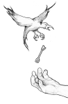 Artwork --- A Friend Flies in to Liberate Me From this Oppression (Anti-Prisons and Anti-Jails Directory | Description : This image came from http://www.RadicalGraphics.or... | Tags : Bird, Key, Wings, Escape, Hand, Grab, Drop, Claws,...) ::: By Radical Graphics (About: All material posted here originally appeared at ht... | Ideals: Anarchy, Animal Liberation, Anti-America, Anti-Bio...)