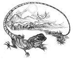 Artwork --- The Simplest of Creatures Contain the Most Magnificent Facts of the Universe (Earth and Environmentalism Directory | Description : This image came from http://www.RadicalGraphics.or... | Tags : Lizard, Tail, Pyramids, Mountains, Sun, Bird, Flig...) ::: By Radical Graphics (About: All material posted here originally appeared at ht... | Ideals: Anarchy, Animal Liberation, Anti-America, Anti-Bio...)