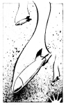 Artwork --- That Sound Overhead is the Falling of Bombs (Peace and Anti-War Directory | Description : This image came from http://www.RadicalGraphics.or... | Tags : Bomb, Fall, Falling, Explosion, Blast, Bomber, Sky...) ::: By Radical Graphics (About: All material posted here originally appeared at ht... | Ideals: Anarchy, Animal Liberation, Anti-America, Anti-Bio...)