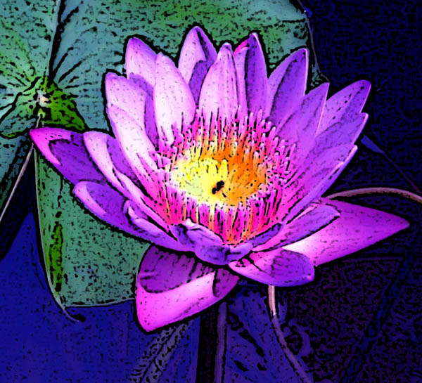 'colors that fill the soul and expand the mind' by Marathi mulgaa, Edited by Punkerslut