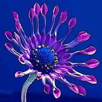 Image by PDPhoto, Edited by Punkerslut